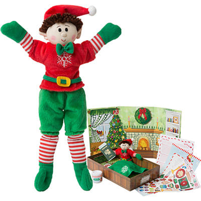 Boy Elf (Brown Hair) & Elf Book Set